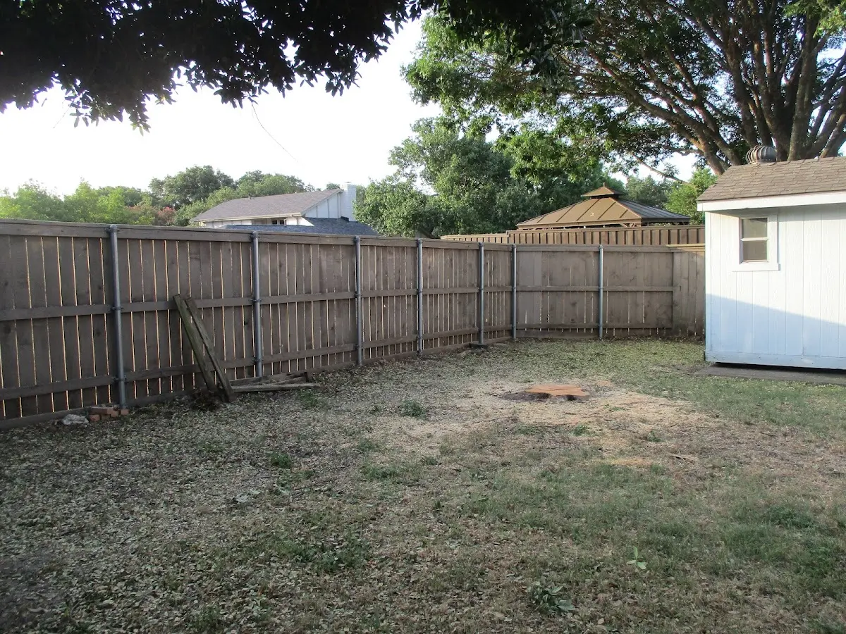 Cleared yard after professional tree removal in Betterton