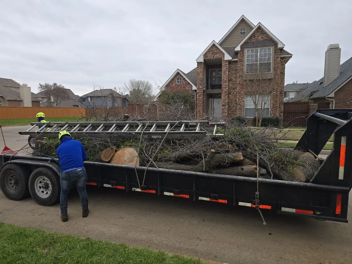 Expert Tree Fertilization with proper safety equipment in Betterton